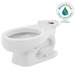 American Standard Canada - 3128001.020 - Commercial Toilet Bowls