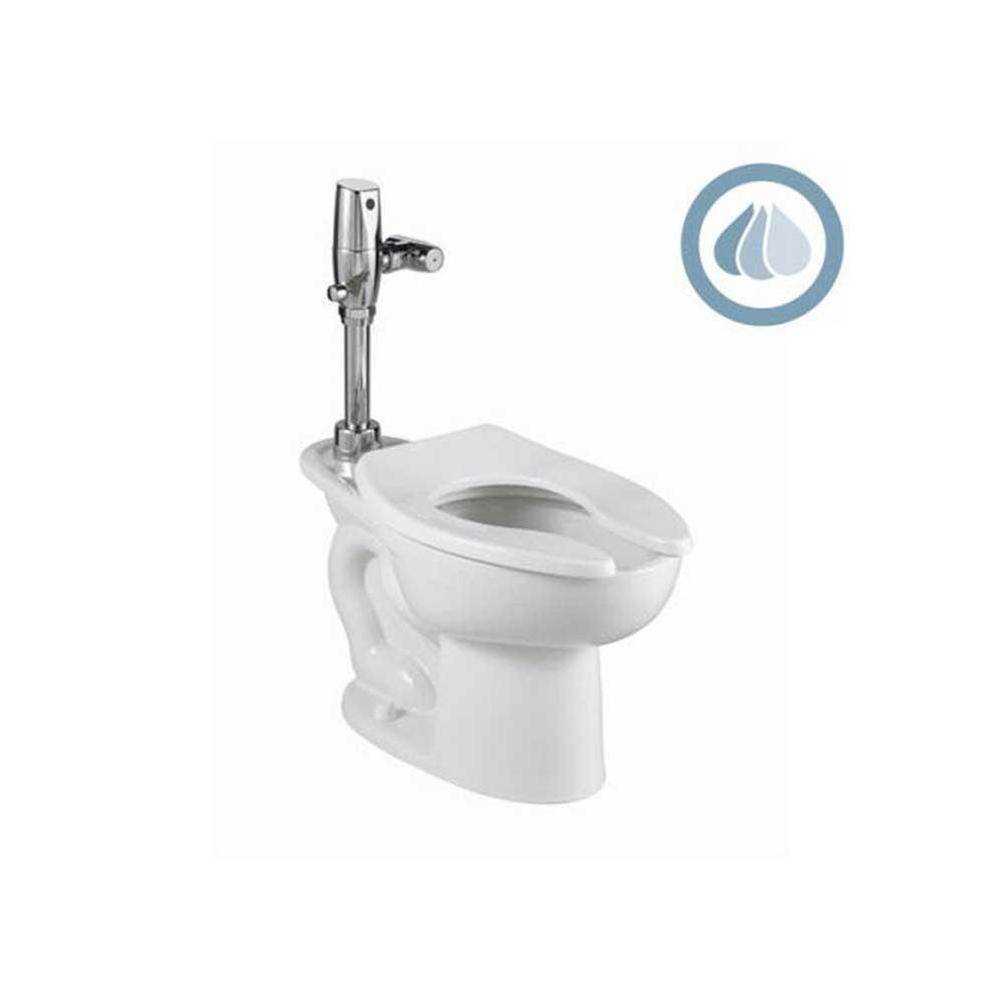 The Water ClosetAmerican Standard CanadaMadera™ 1.1 – 1.6 gpf (4.2 – 6.0 Lpf) Chair Height Top Spud Elongated EverClean® Bowl With Bedpan Lugs