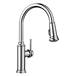 Blanco Canada - 442501 - Pull Down Kitchen Faucets