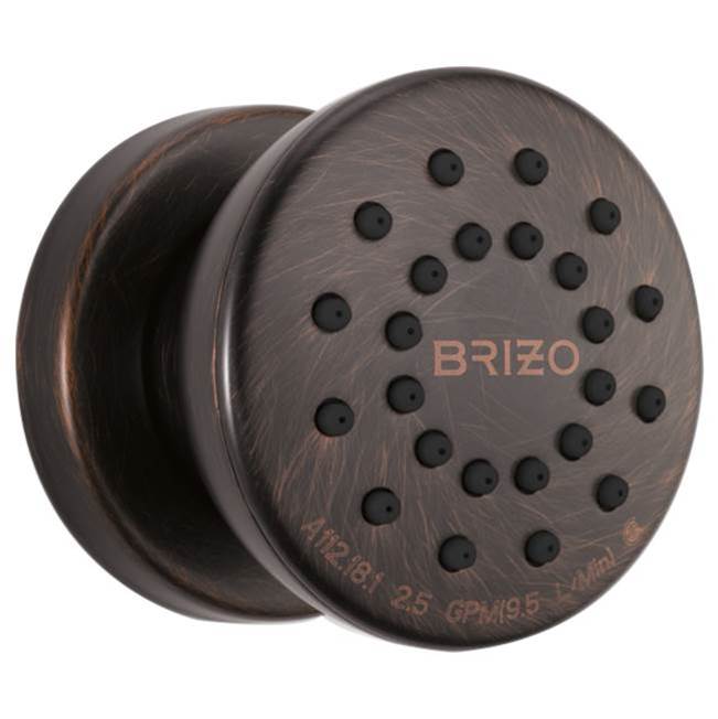 Brizo Canada Bodysprays Shower Heads item 84110-RB