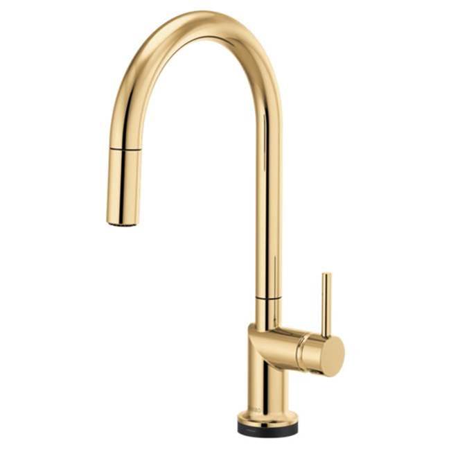 Brizo Canada Pull Down Faucet Kitchen Faucets item 64075LF-PGLHP