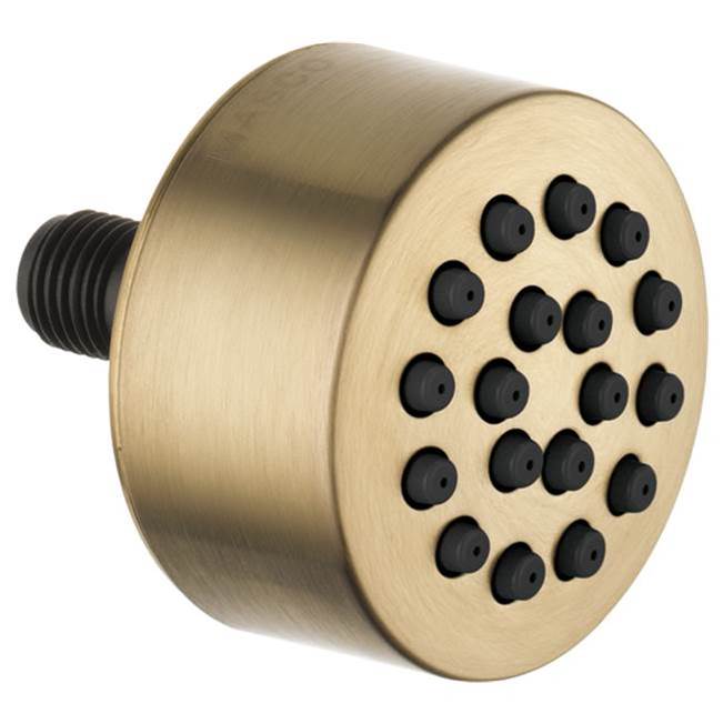 Brizo Canada Bodysprays Shower Heads item SH84103-GL