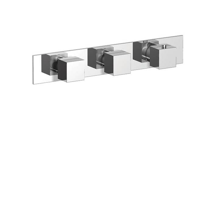 The Water ClosetCa'banoThermostatic trim with 2 flow controls