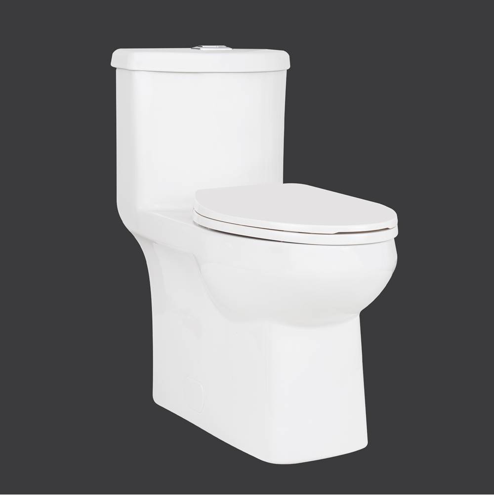 The Water ClosetContrac4.8L/3L Dual Flush Concealed Elongated, Plus Height with Smooth Close Seat, Unlined Tank