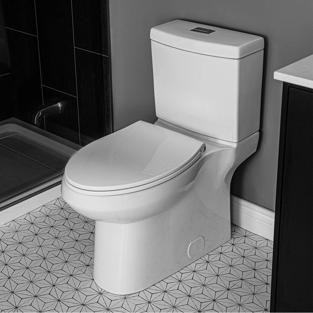 The Water ClosetContracAvenal 4.8L/3L Toilet Bowl, Concealed Elongated, Plus Height, with Smooth Close Seat And 4.8L/3L Dual Flush Tank, Unlined, 12'' Rough-In