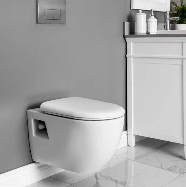 The Water ClosetContrac6/3L Dual Flush Wall Hung Toilet, Smooth Close Seat, includes In Wall Tank Carrier, (push button not included) 
KIT CODE SKU