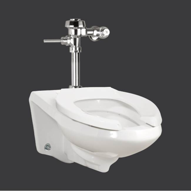 The Water ClosetContrac4.8L Wall Hung ADA Flushometer Valve Bowl, Top Inlet, with Pro Guard Glaze