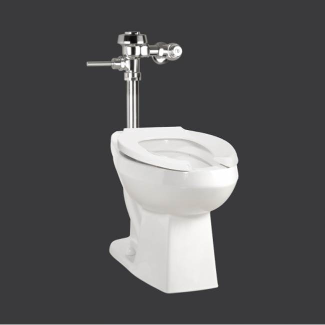 The Water ClosetContracColter 4.2L HET Rear Inlet, 15.125'' Height