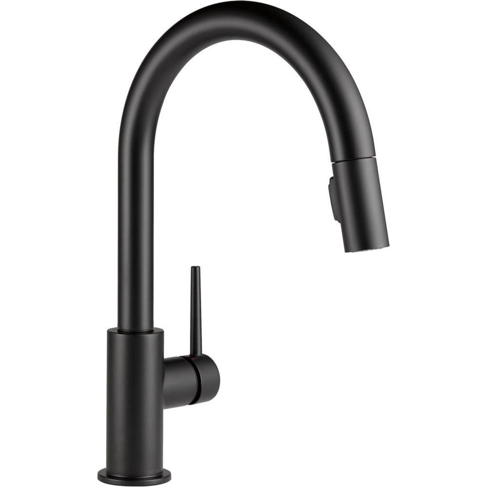 Delta Canada Pull Down Faucet Kitchen Faucets item 9159-BL-DST-1.5