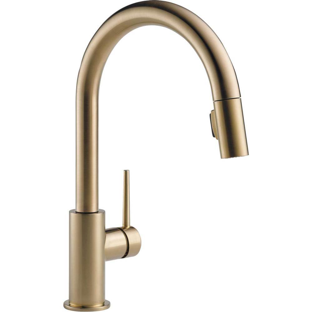 Delta Canada Pull Down Faucet Kitchen Faucets item 9159-CZ-DST