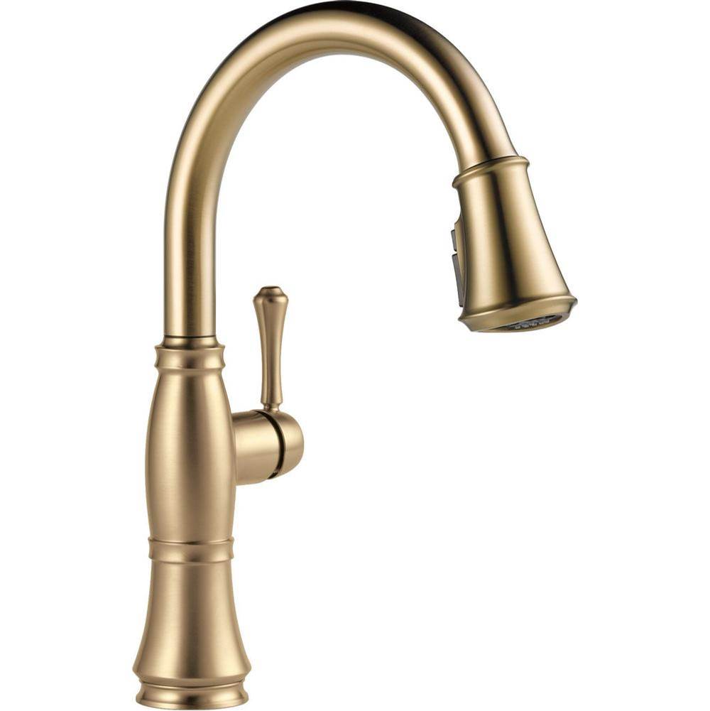 Delta Canada Pull Down Faucet Kitchen Faucets item 9197-CZ-PR-DST