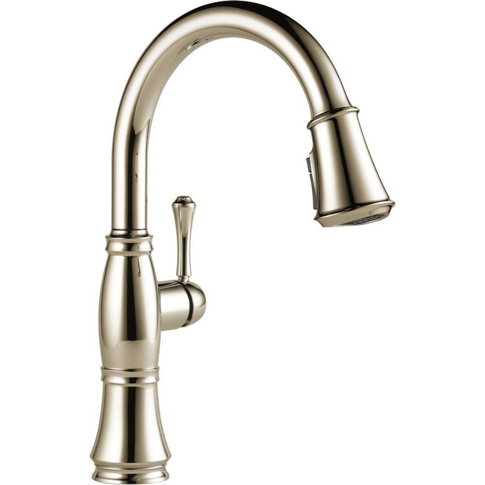 Delta Canada Pull Down Faucet Kitchen Faucets item 9197-PN-PR-DST