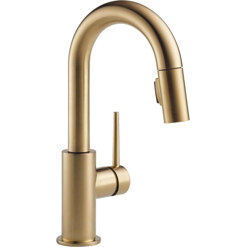Delta Canada  Bar Sink Faucets item 9959-CZ-DST