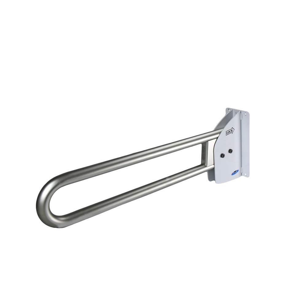 Frost Grab Bars Shower Accessories item 1055-S