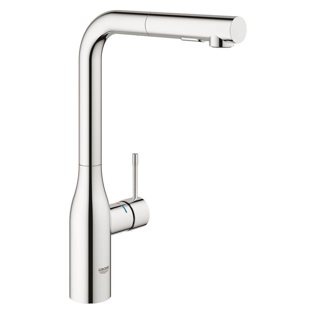 The Water ClosetGrohe CanadaSingle Handle Pull Out Kitchen Faucet Dual Spray 66 L min 175 gpm
