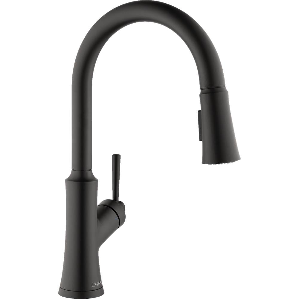 Hansgrohe Canada Pull Down Faucet Kitchen Faucets item 04793670