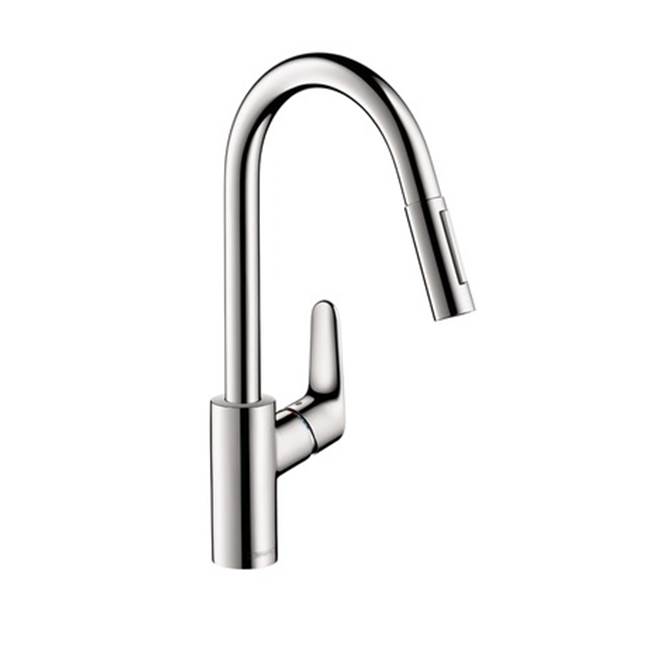 Hansgrohe Canada Single Hole Kitchen Faucets item 04505000