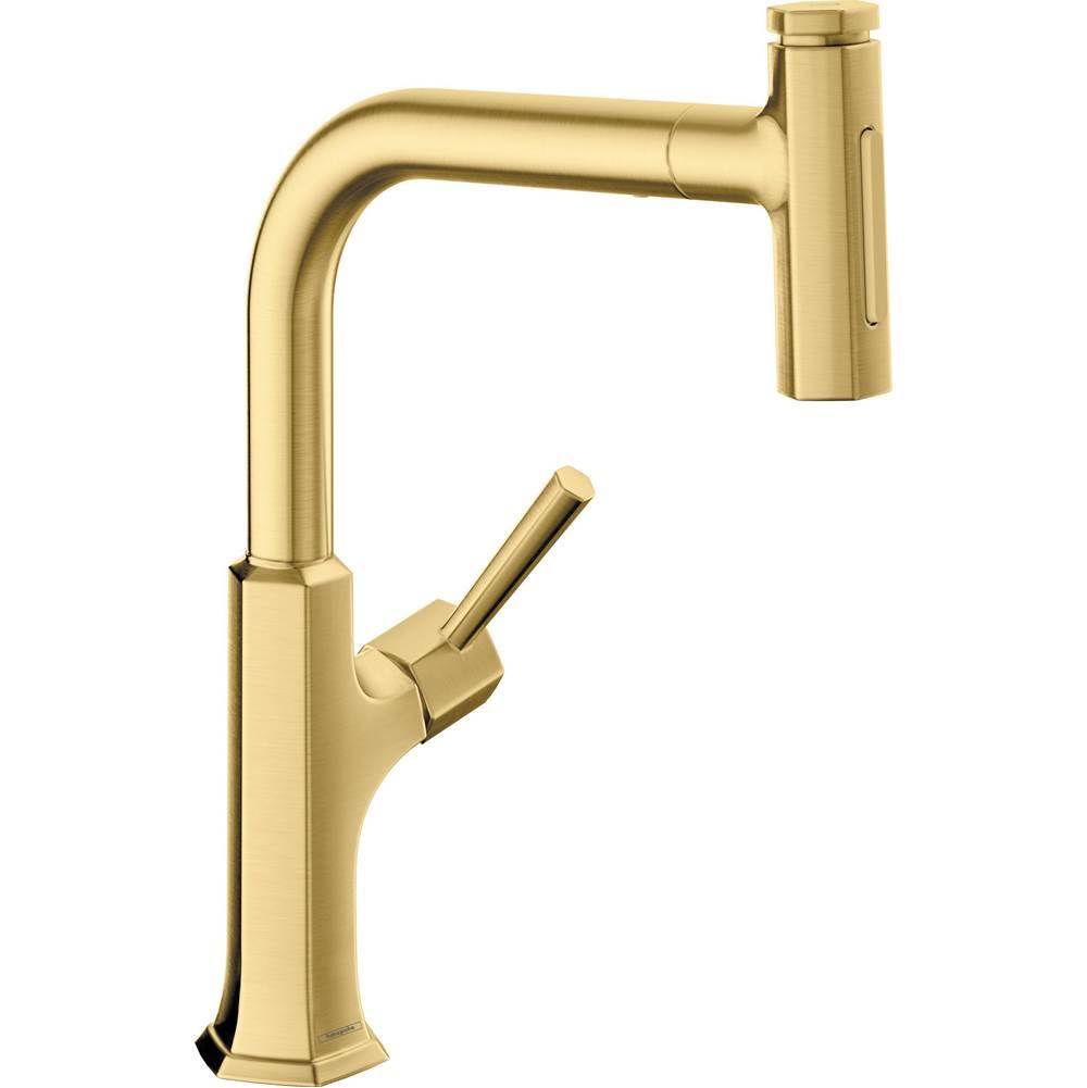 Hansgrohe Canada Pull Out Faucet Kitchen Faucets item 04855250