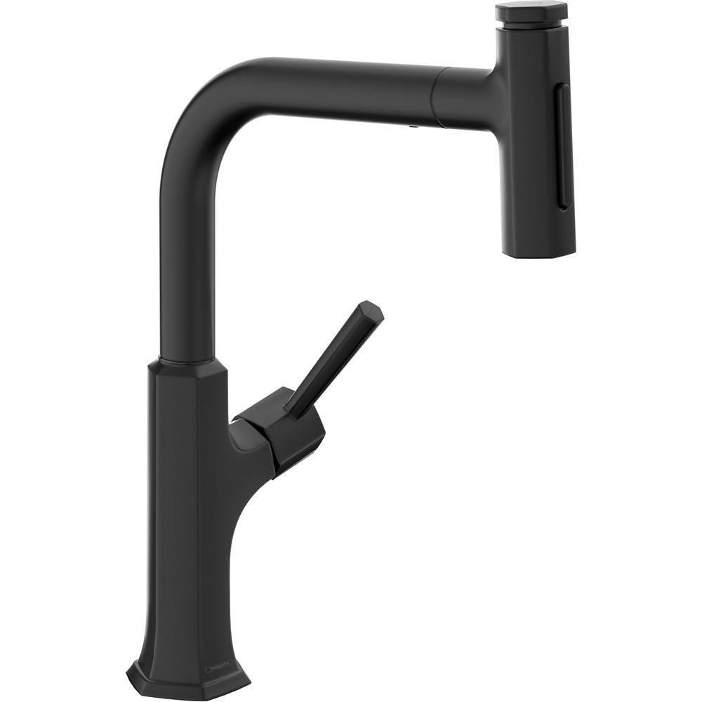 Hansgrohe Canada Pull Out Faucet Kitchen Faucets item 04855670