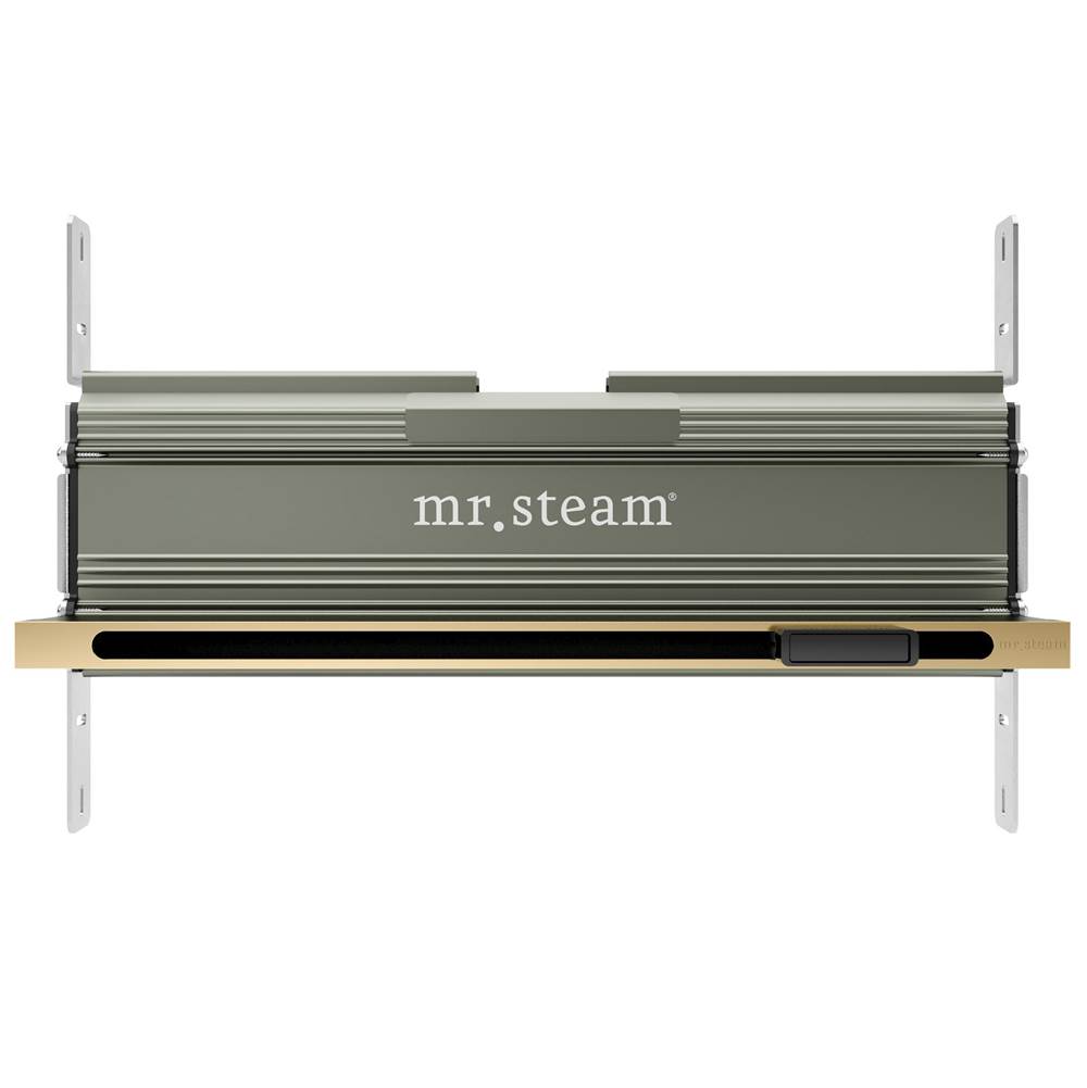 The Water ClosetMr. SteamLinear 16 in. W. Steamhead with AromaTherapy Reservoir in Satin Brass