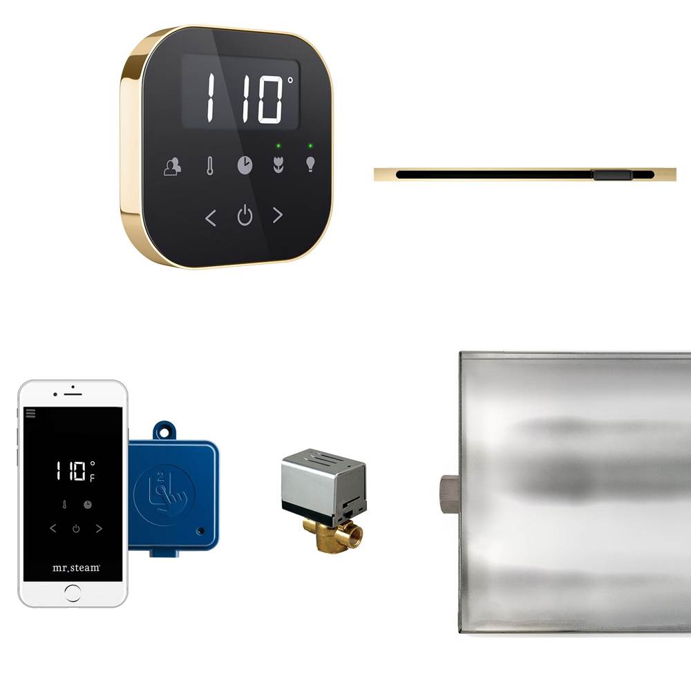 The Water ClosetMr. SteamAirButler Linear Steam Shower Control Package with AirTempo Control and Linear SteamHead in Black Polished Brass