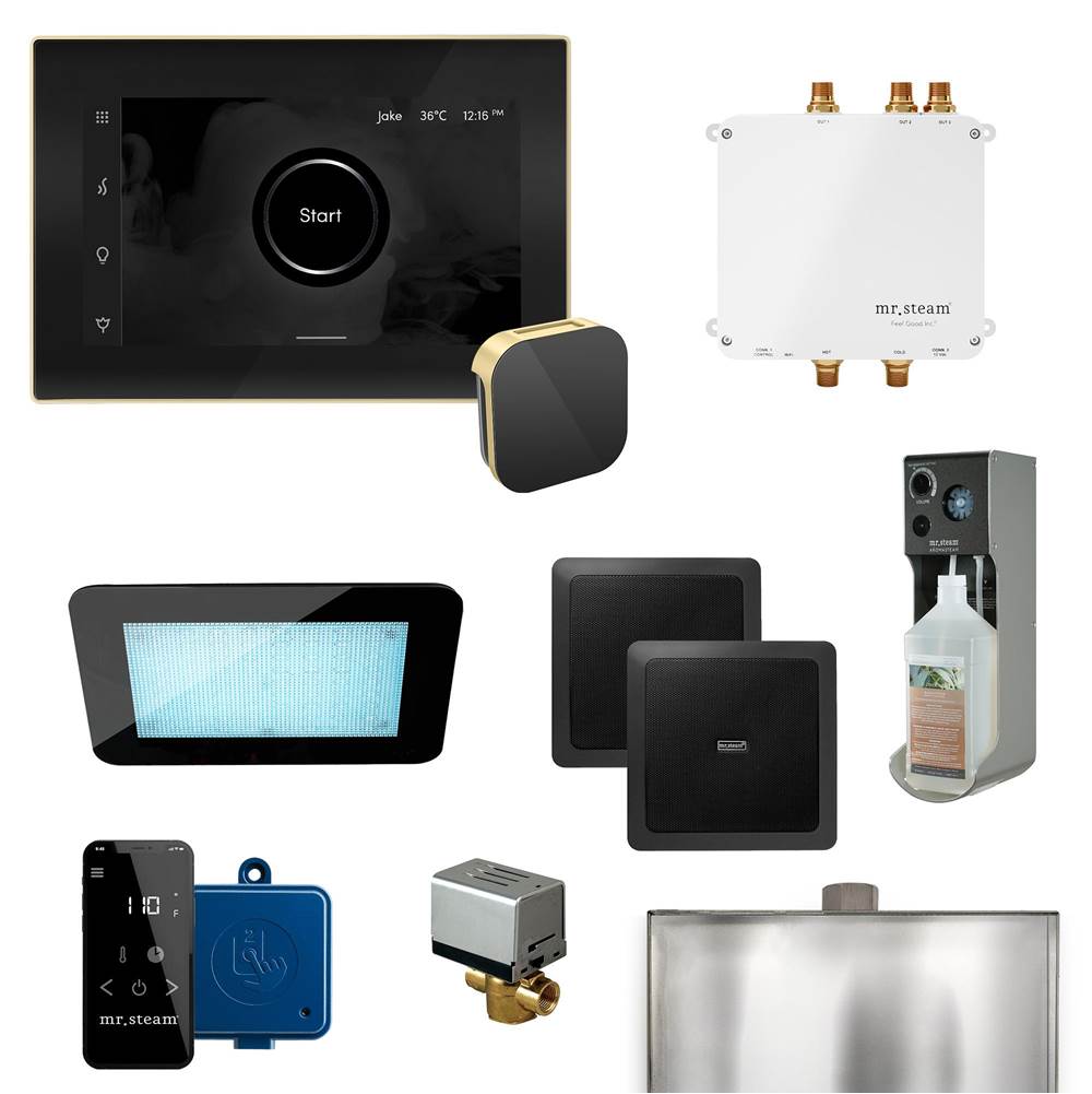 The Water ClosetMr. SteamBliss Programmable Steam Generator Control Kit with iSteamX Control and Aroma Glass Steamhead in Black Satin Brass