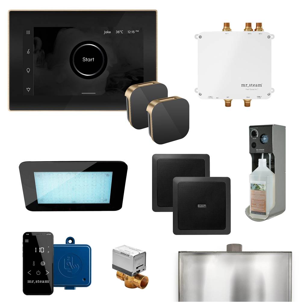 The Water ClosetMr. SteamBliss Max Programmable Steam Generator Control Kit with iSteamX Control and Aroma Glass Steamhead in Black Brushed Bronze
