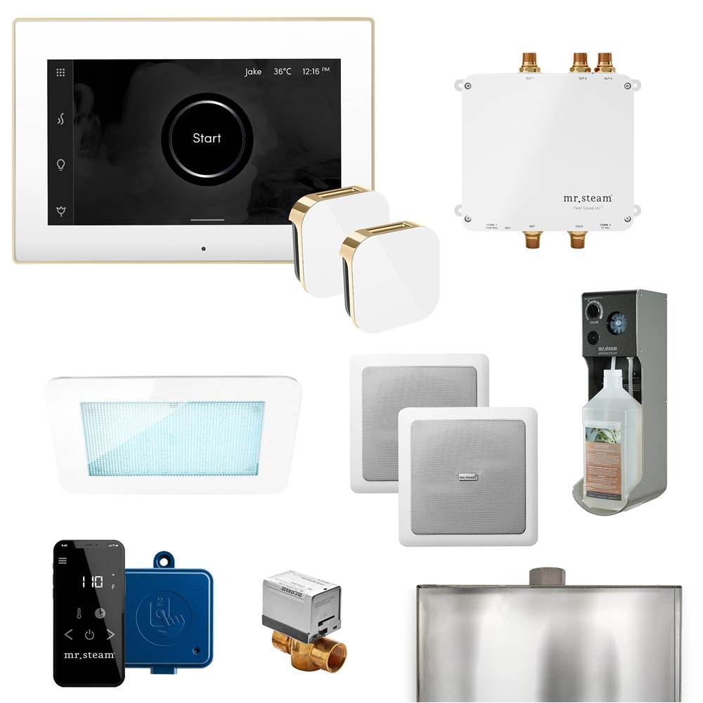 The Water ClosetMr. SteamBliss Max Programmable Steam Generator Control Kit with iSteamX Control and Aroma Glass Steamhead in White Polished Brass