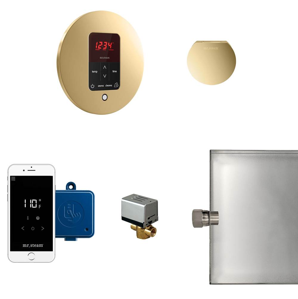The Water ClosetMr. SteamButler Steam Shower Control Package with iTempoPlus Control and Aroma Designer SteamHead in Round Polished Brass