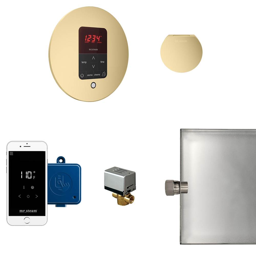 The Water ClosetMr. SteamButler Steam Shower Control Package with iTempoPlus Control and Aroma Designer SteamHead in Round Satin Brass