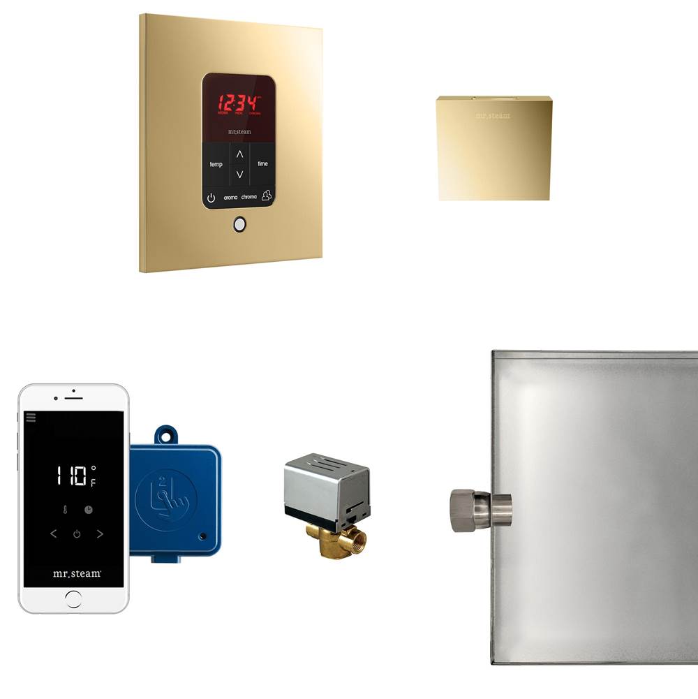 The Water ClosetMr. SteamButler Steam Shower Control Package with iTempoPlus Control and Aroma Designer SteamHead in Square Polished Brass