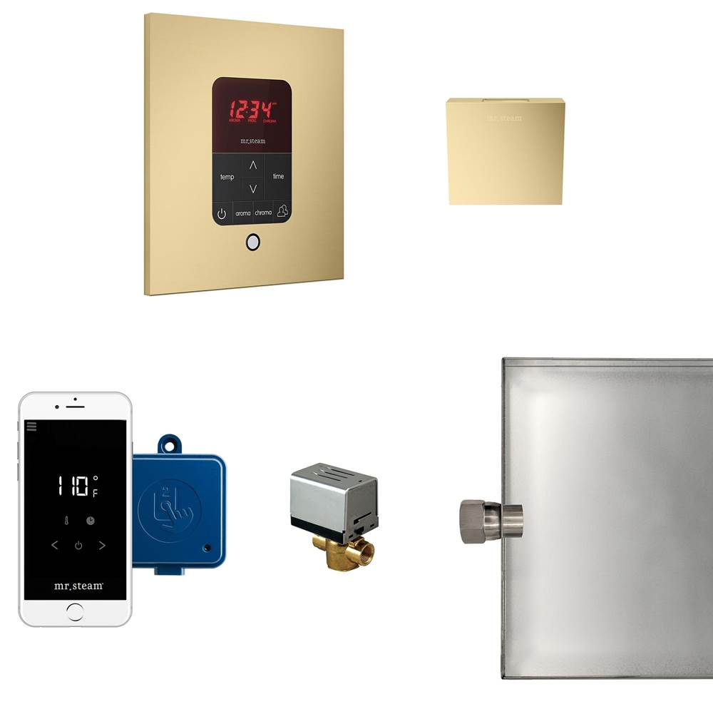 The Water ClosetMr. SteamButler Steam Shower Control Package with iTempoPlus Control and Aroma Designer SteamHead in Square Satin Brass