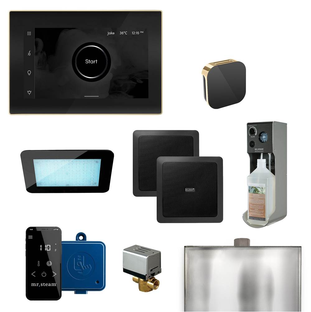 The Water ClosetMr. SteamXDream Programmable Steam Generator Control Kit with iSteamX Control and Aroma Glass Steamhead in Black Polished Brass
