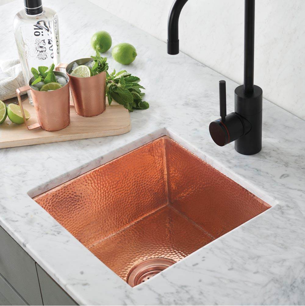The Water ClosetNative TrailsCantina Bar and Prep Sink in Polished Copper