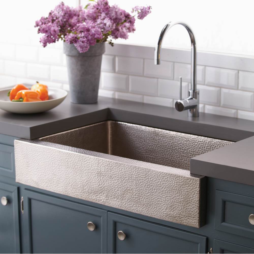 The Water ClosetNative TrailsParagon Kitchen SInk in Brushed Nickel