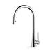 Newform Canada - 64213.M0.076 - Pull Down Kitchen Faucets