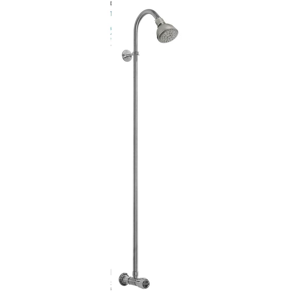 Outdoor Shower  Shower Systems item WM-442-ADA-SS