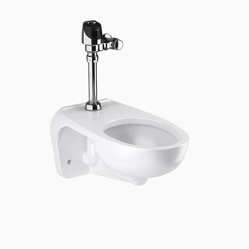 The Water ClosetSloanWETS2751.1101 ST2459 STG & ECOS 8111 1.1