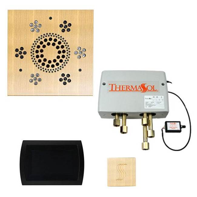 ThermaSol Steam And Shower Packages Steam Shower Packages item TWPSS-AB