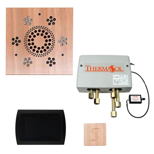 ThermaSol Steam And Shower Packages Steam Shower Packages item TWPSS-ACOP